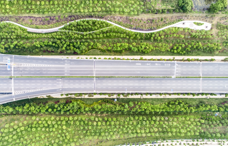 香港挂挂牌图库