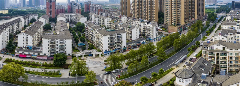 香港挂挂牌图库