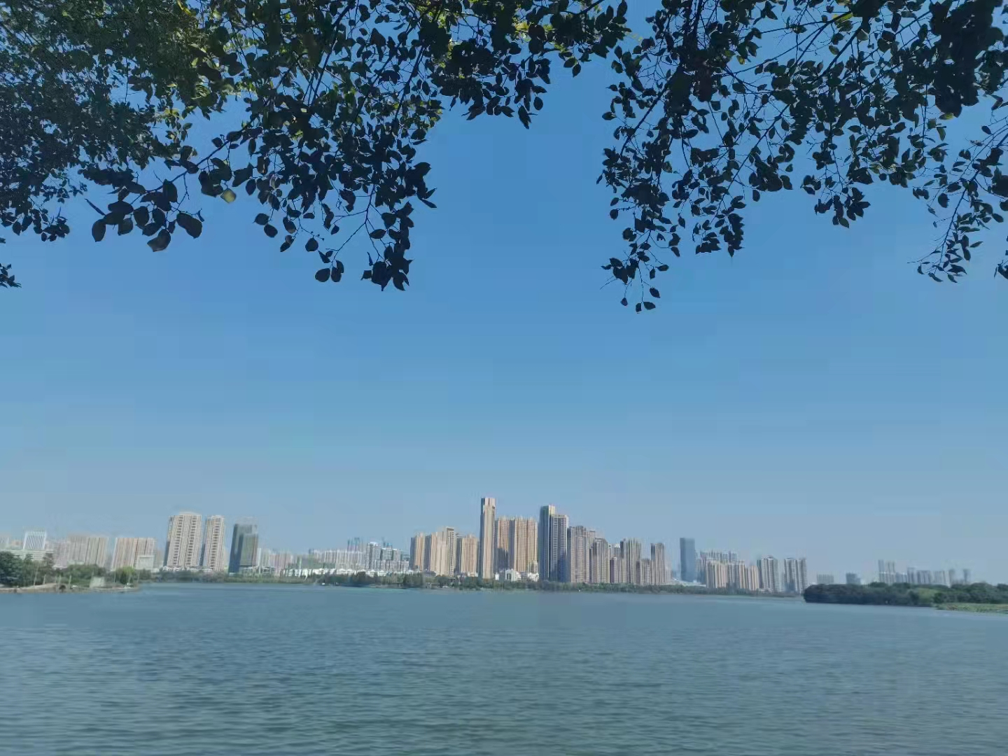 香港挂挂牌图库