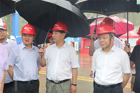 香港挂挂牌图库