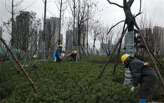 香港挂挂牌图库