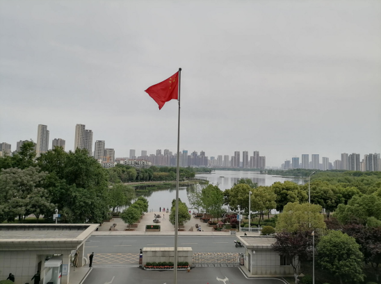 香港挂挂牌图库