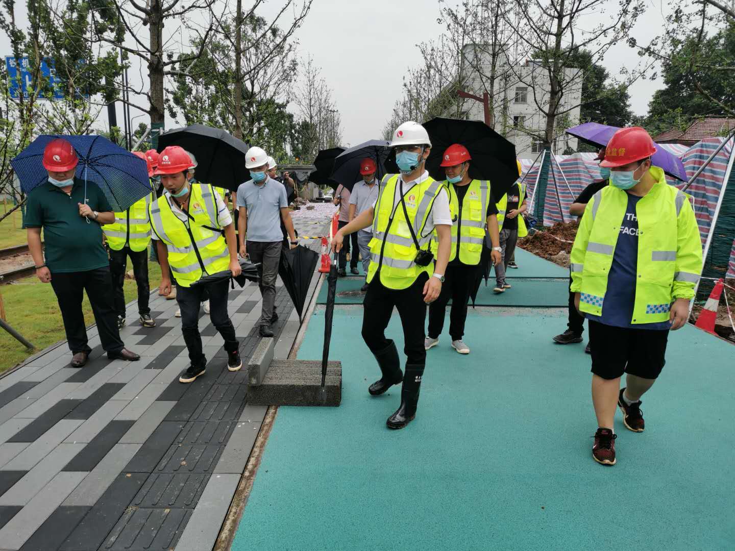 香港挂挂牌图库